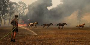 Horses run away from the flames as a resident defends their property near Orangeville.