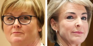 Two federal ministers back One Nation motion calling for ‘wait-and-see’ treatment for transgender children