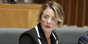 Labor's Deputy Senate Leader Kristina Keneally said Senator McKenzie had"fired a warning shot across Prime Minister Scott Morrison's bow".
