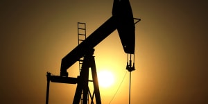 Saudi Arabia,the world’s largest oil producer,has made a pledge to reach “net zero”.