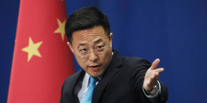 Foreign Ministry spokesman Zhao Lijian .