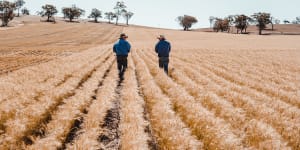 Experts are warning the federal government has overhyped the emissions offsets potential of carbon farming in Australia. 