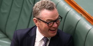 'Disgraceful and scandalous':Christopher Pyne steps up attack on Labor over citizenship