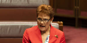 Senator Pauline Hanson said she asked Burney and Dreyfus a series of questions about the Voice’s model.