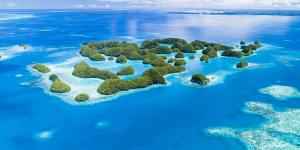 Palau is regarded as one of the world’s great diving destinations.