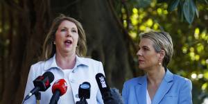 Catherine King and Tanya Plibersek have been developing a plan for women's reproductive health since the 2016 election. 