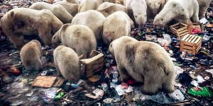 'Political exile'in Arctic bears the punishment for opposing Putin