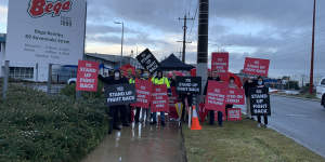 Bega dairy workers on strike in WA