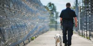 Queensland's prison population has increased by more than 50 per cent since January 2012.