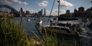 Transport for NSW said it was in the final stages of consulting boat operators before publishing a new code of conduct.