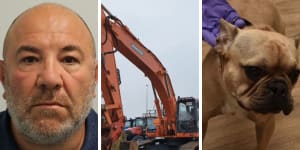 Danny Brown,a British man convicted of drug trafficking,the 40-tonne Doosan digger,and his new French bulldog Bob.