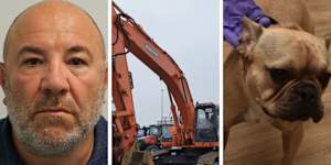 Danny Brown,a British man convicted of drug trafficking,the 40-tonne Doosan digger,and his new French bulldog Bob.