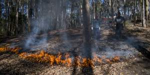 Cultural burning reduces the fuel load and ignites the seedbank held in the ground,according to Indigenous elder Sonny Timbery.