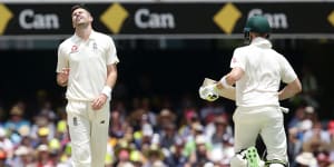 Steve Smith has frustrated the plans of James Anderson for years.