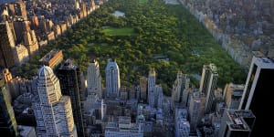 Central Park – a haven for New Yorkers. 