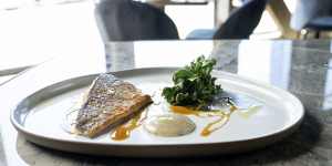 Murray cod with salmoriglio and ice plant. 