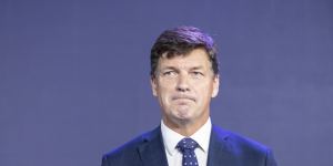 Energy Minister Angus Taylor says the new gas plant is needed to replace the Liddell coal-fired power plant scheduled to close in 2023.