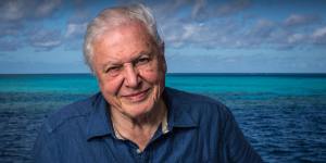 Sir David Attenborough back at the Great Barrier Reef.