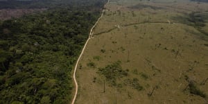 Amazon doesn't need Germany's biodiversity funds,says Brazil leader