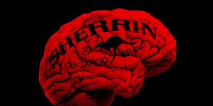 Brain scans for future AFL players are on the league’s agenda.