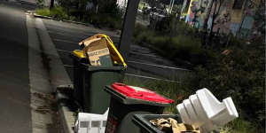 Surry Hills resident Patrick Lloyd says overflowing bins have attracted rats to his street in Surry Hills.