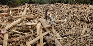 Men stand on logs swept away by flash flood in Batang Toru,North Sumatra,Indonesia.
