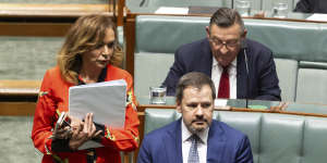 Early Childhood Education Minister Dr Anne Aly and Minister for Industry Ed Husic during question time on Thursday.