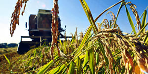 'Worst-ever drought'hits major agrigroup Nufarm