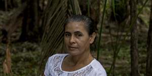 A seed collector trained by Re.green,a forest restoration company,in Maracaçumé,Brazil.