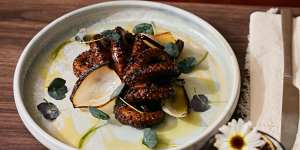 Pulpo escondido (grilled octopus on chintextle paste with huitlacoche and tostada).