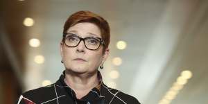Foreign Minister Marise Payne will have the power to rip up agreements between states and foreign governments. 