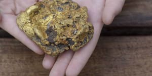 'Dad is this gold?':Family's Lucky strike as they stumble on $35k nugget