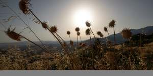 Dry vegetation in Petralia Soprana in Sicily,Italy,on Friday,when the island smashed the Continent’s heat record.