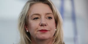 It's unknown whether the talking points were ultimately given to Senator Bridget McKenzie or used at the meeting with the PM.
