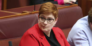 Foreign Minister Marise Payne confirms Australia will adopt Magnitsky-style laws.