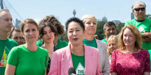 Why the NSW Greens are quiet on the Yes campaign