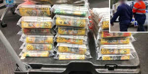 More than $13 million in cash was discovered inside the truck being driven by Nathan Ferguson (inset). 