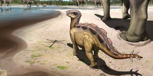 Tiptoe through the Cretaceous:baby dino footprint shows toe-walking