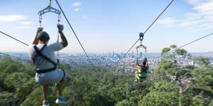 An artists'impression of the proposed Mt Coot-tha zipline.