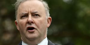 Anthony Albanese declares:'I'm on Rosie Batty's side'