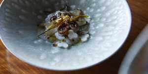 Wild blacklip abalone,young octopus,raw scallops,seaweed and aged vinegar.