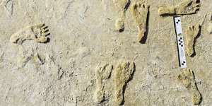 Fossil human footprints discovered in White Sands,New Mexico likely date back to between 21,000 and 23,000 years ago,according to two lines of scientific evidence published on October 5.