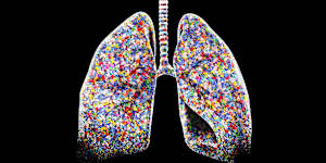 Small microplastics are understudied but can reach deep into our lungs,sparking health concerns among scientists.