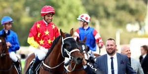 Jockey Joao Moriera admitted that good horse make life easier for jockeys.