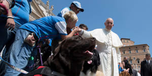 Pope says having pets instead of babies is selfish