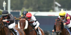 Horses in action at Rosehill Racecourse.