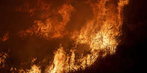 Flames consume brush along Gilman Springs Road during the Rabbit Fire late on Friday,July 14.