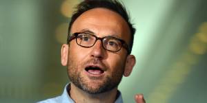 Greens leader Adam Bandt said Labor was failing in its duty to prosecute the government over the issue.