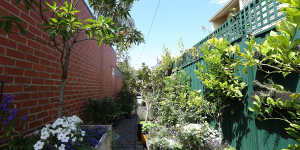 A laneway garden in North Carlton,cultivated by local residents for a decade,was ripped out in March by Yarra Council after complaints.
