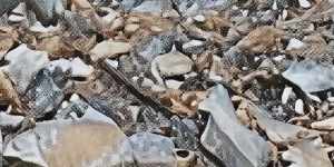 An adit entry at the historic Raven Mine in Montana,now part of Olympio Metals’ newly acquired US critical minerals portfolio. 